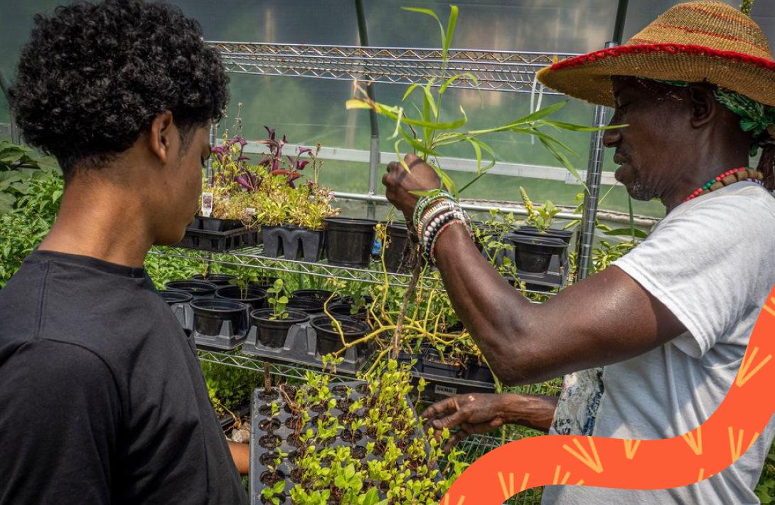 A young man helps take care of plants in a greenhouse