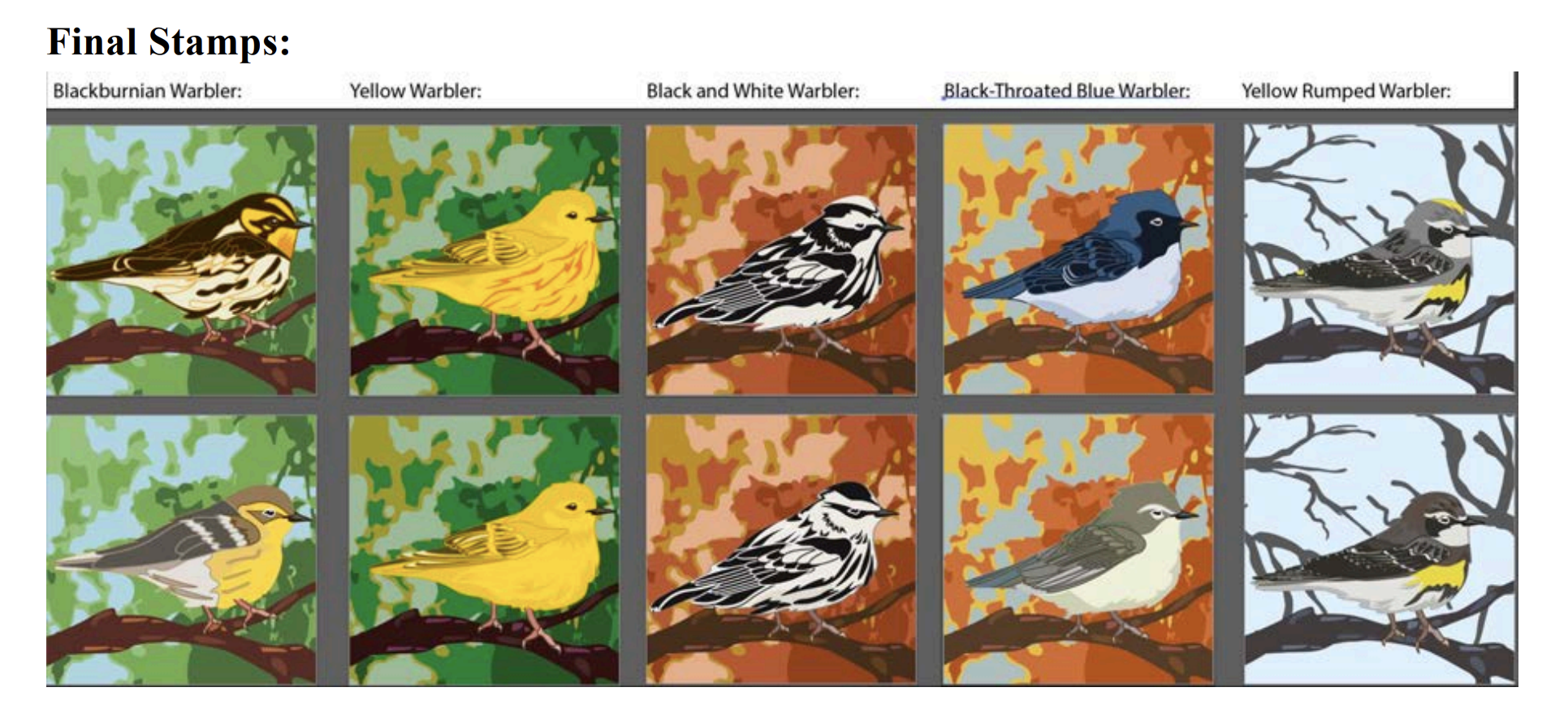 Grid of illustrations of different types of warblers
