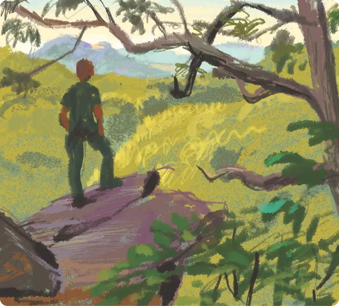 Painting of a person standing on a cliff looking out over a valley